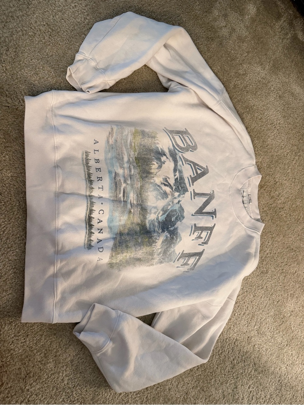 A&F soft oversized fleece crewneck
